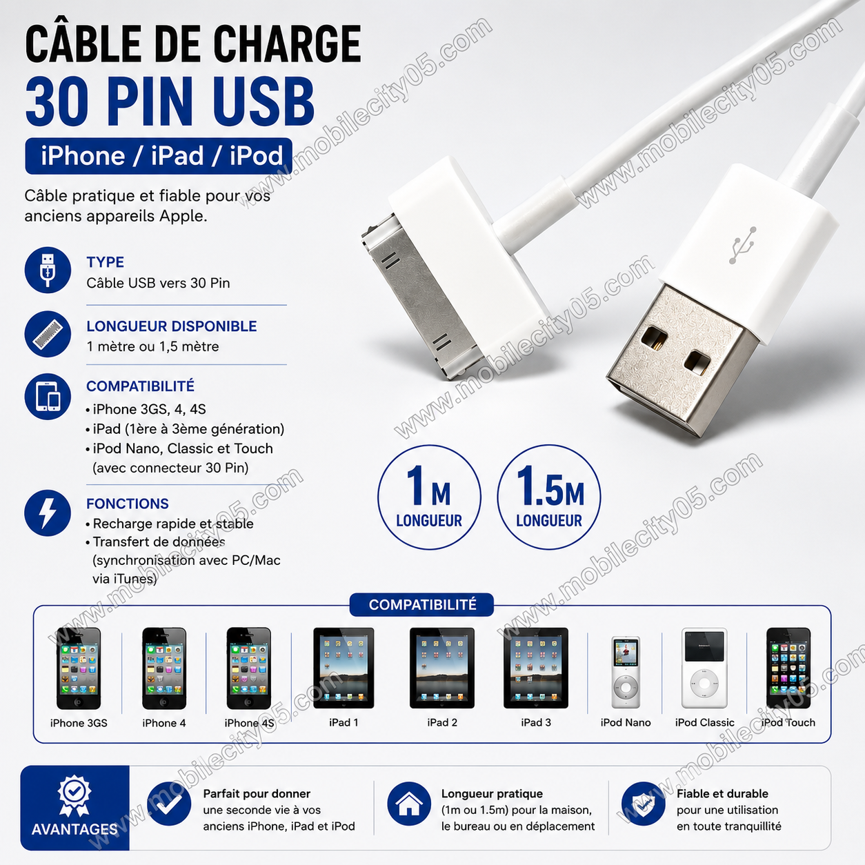Câble de charge 30 Pin USB – iPhone / iPad / iPod