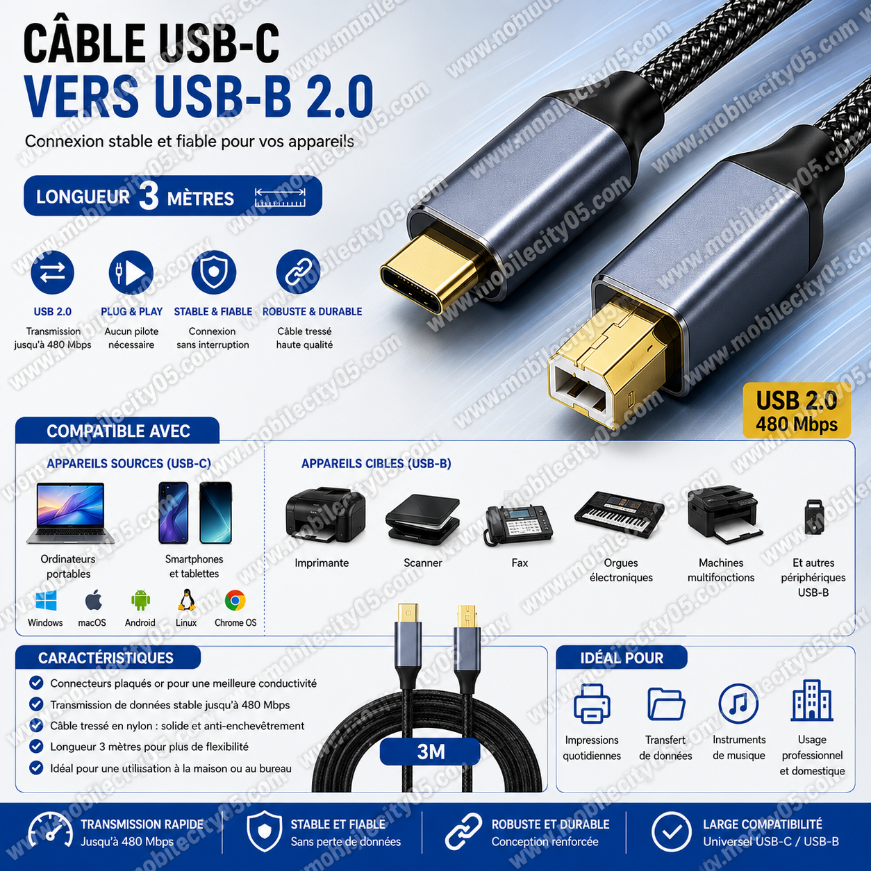 Câble USB-C vers USB-B 2.0 – 3 m