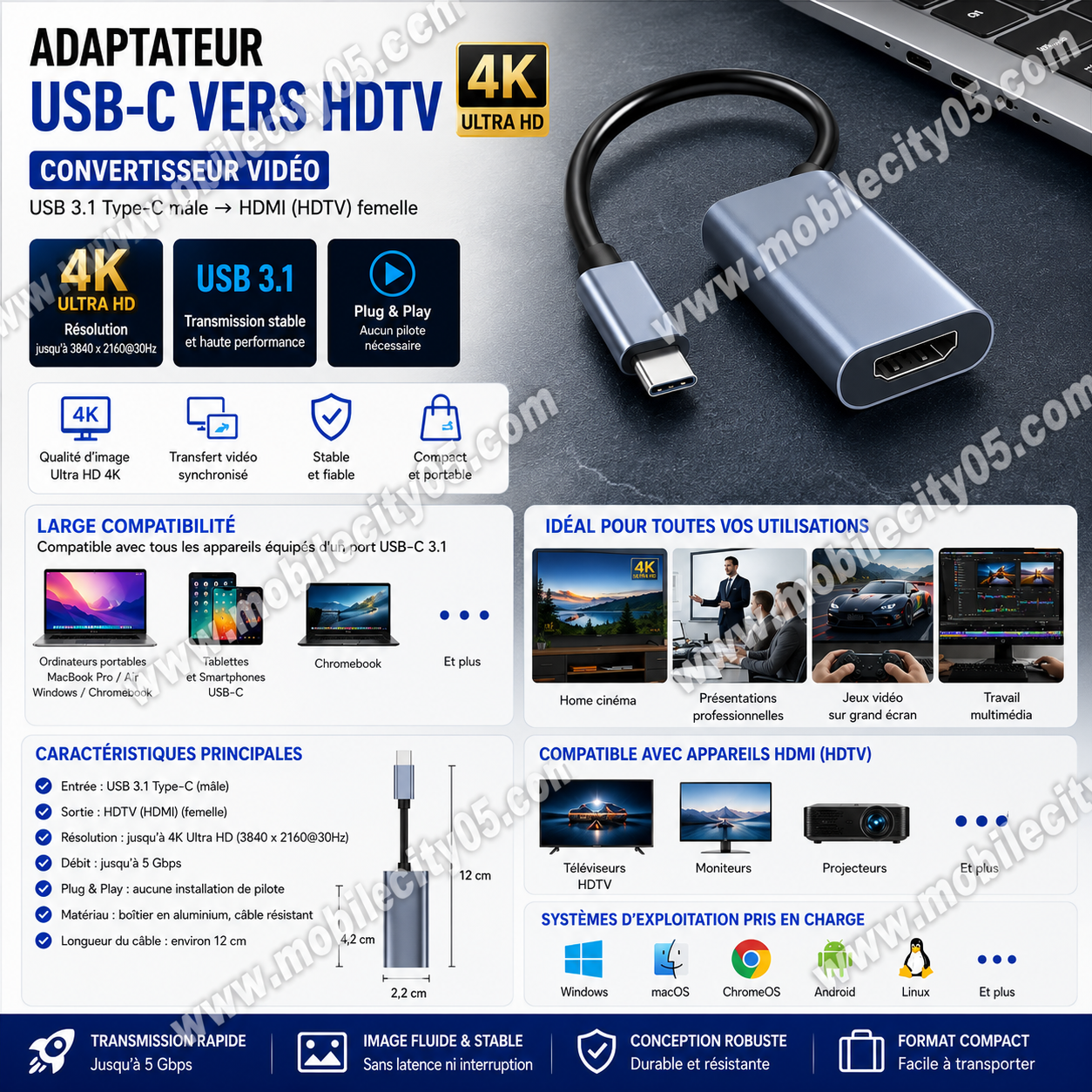 Adaptateur USB-C (Type-C) vers HDTV 4K – Convertisseur Vidéo